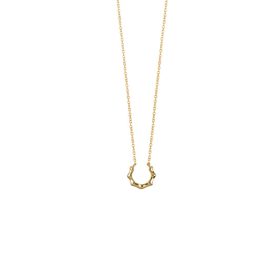 Gold Horseshoe Necklace