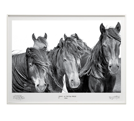 LCN - Special Edition - La Stanze de la Fotografia