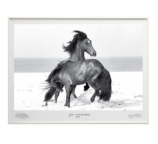 Fury - Special Edition - La Stanze de la Fotografia