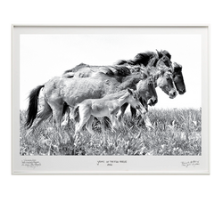 Generations - Special Edition - La Stanze de la Fotografia