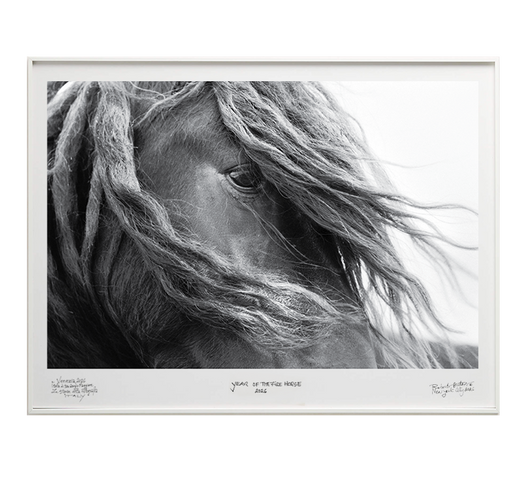 I AM - Special Edition - La Stanze de la Fotografia