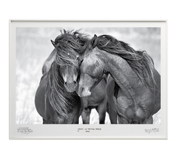 Love - Special Edition - La Stanze de la Fotografia