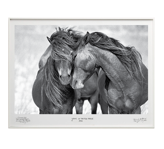 Love - Special Edition - La Stanze de la Fotografia