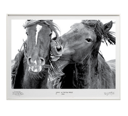 Love Bite- Special Edition - La Stanze de la Fotografia