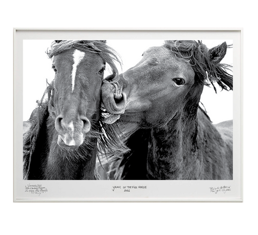 Love Bite- Special Edition - La Stanze de la Fotografia