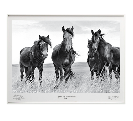 Natives - Special Edition - La Stanze de la Fotografia