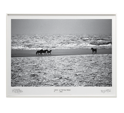 Past To Present - Special Edition - La Stanze de la Fotografia