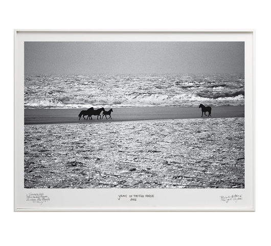 Past To Present - Special Edition - La Stanze de la Fotografia