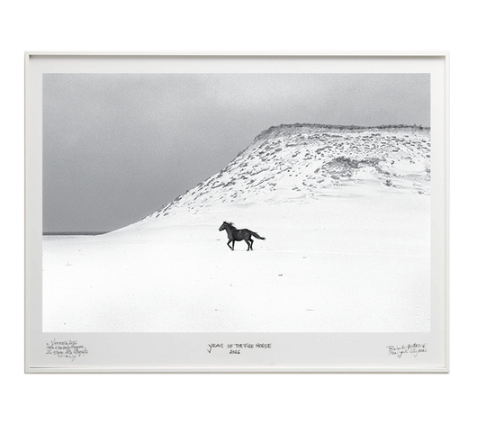 Run - Special Edition - La Stanze de la Fotografia