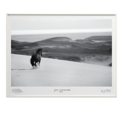 Something Else - Special Edition - La Stanze de la Fotografia