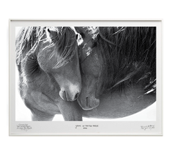 Tenderness- Special Edition - La Stanze de la Fotografia