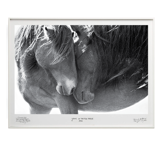 Tenderness- Special Edition - La Stanze de la Fotografia