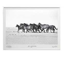 Western Run - Special Edition - La Stanze de la Fotografia