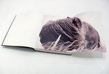 THE WILD HORSES OF SABLE ISLAND - LIMITED EDITION BOOK