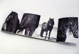 THE WILD HORSES OF SABLE ISLAND - LIMITED EDITION BOOK