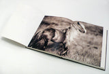 THE WILD HORSES OF SABLE ISLAND - LIMITED EDITION BOOK